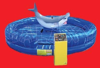 Hammerhead Shark — Round aquatic theme